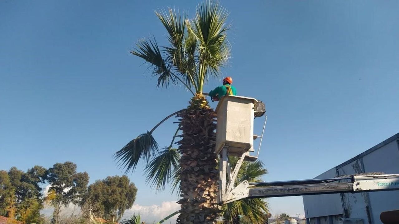 Germencik’te temizlik ve bakım seferberliği: Başkan Burak Zencirci’den duyarlılık çağrısı
