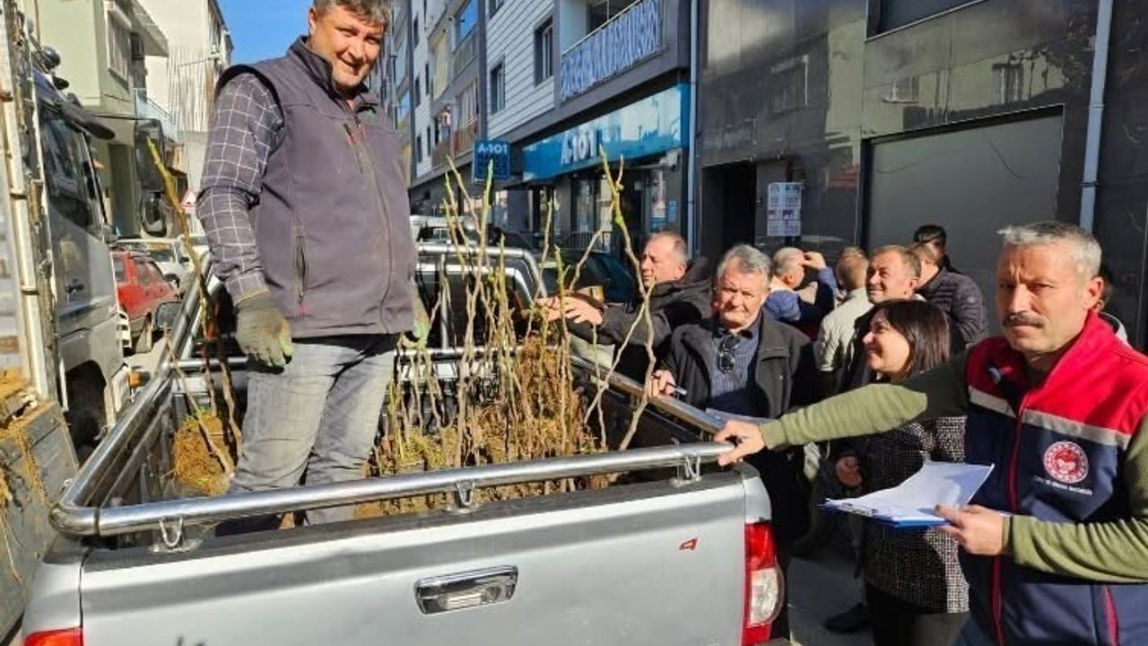 Germencik’te üreticilere yüzde 50 hibe ile 4 bin sertifikalı incir ve zeytin fidanı dağıtıldı