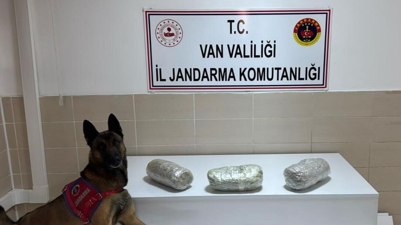 Gevaş'ta jandarmanın yol kontrolünde 3 kilogram esrar ele geçirildi
