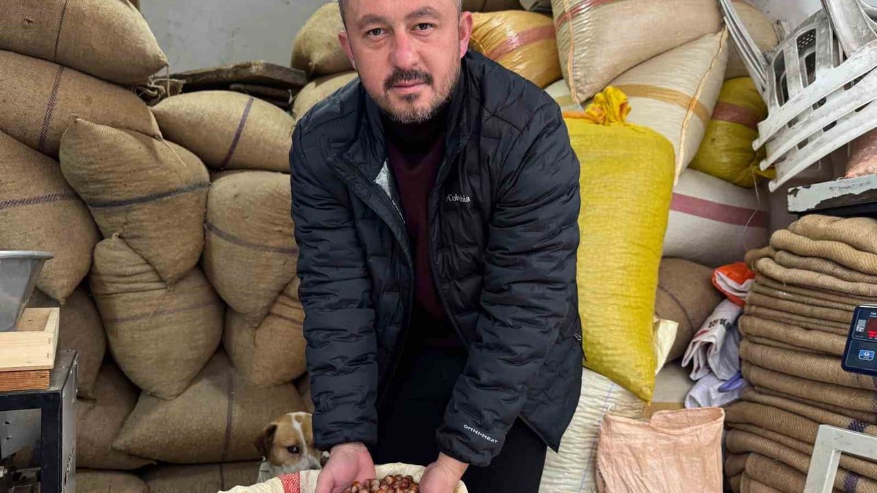 Giresun'da fındık fiyatları yılbaşına günler kala 260-265 liraya çıktı