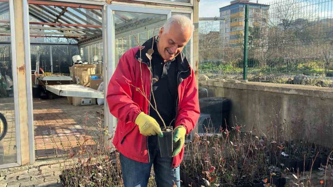 Giresun Eynesil'de mavi yemiş yetiştiriciliği yaygınlaşıyor: 6 çiftçiye fidan ve modern sulama desteği