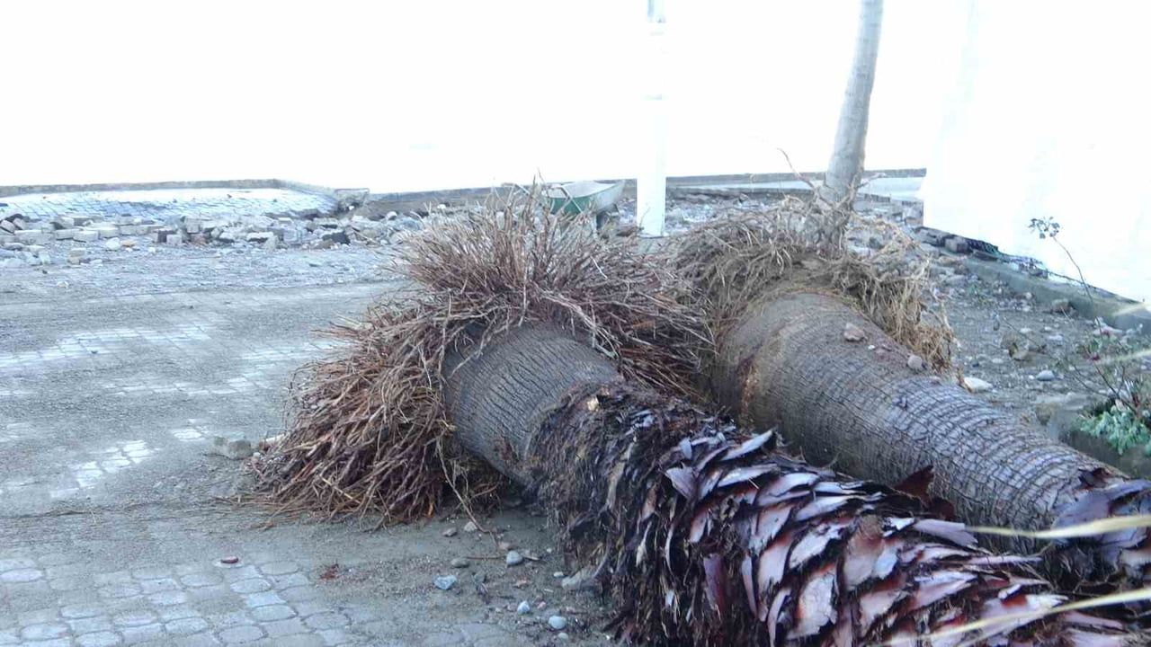 Giresun Tirebolu'da fırtına: sahil, iş yerleri ve yollar hasar gördü