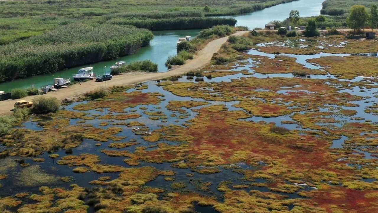 Gökçe Sulak Alanı Ula'da yeniden canlanıyor: 6 hektarlık sahada restorasyon ve toplum katılımı