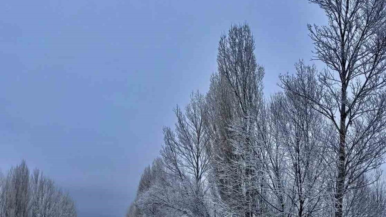 Gökçedere'de kar yağışı ağaçları beyaz örtüyle kapladı