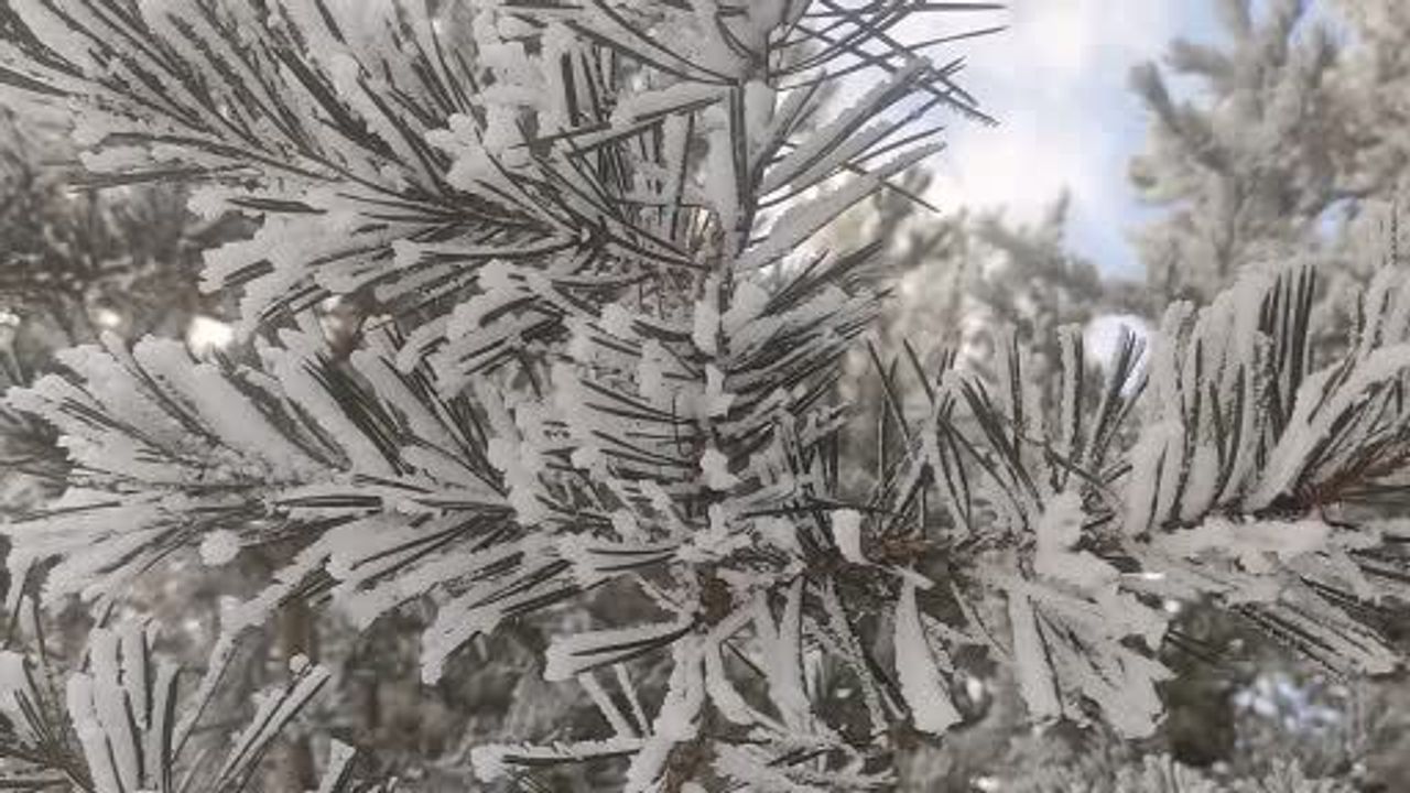Göle'de Sıcaklık Eksi 16 Dereceye Düştü: Ağaçlar Kırağıyla Kaplandı, Yetkililer Uyardı