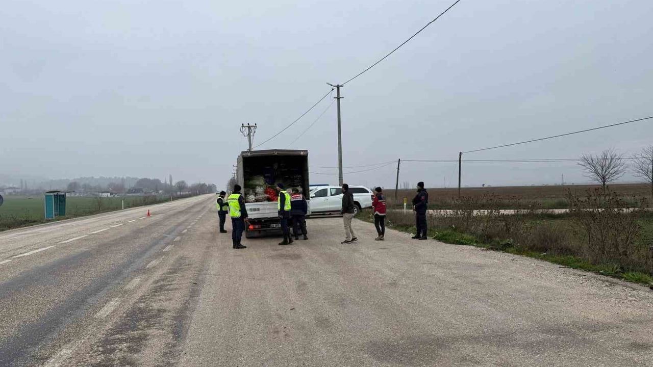 Gölpazarı'nda hayvan nakillerine yönelik sıkı denetim