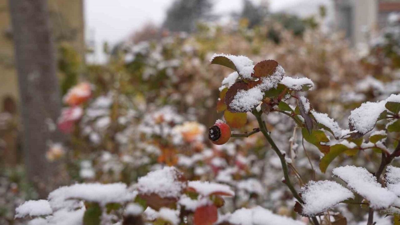 Gümüşhane'de Mevsimin İlk Karı Kent Merkezini Kısa Süreli Etkiledi