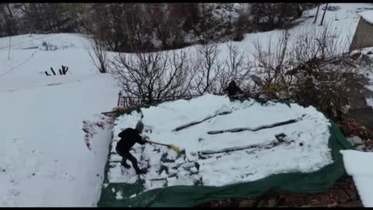 Hakkari Aktütün'ün Kışlık Üzümü: Kar Altında Toplanıp Kış Boyu Saklanan Geleneksel Lezzet
