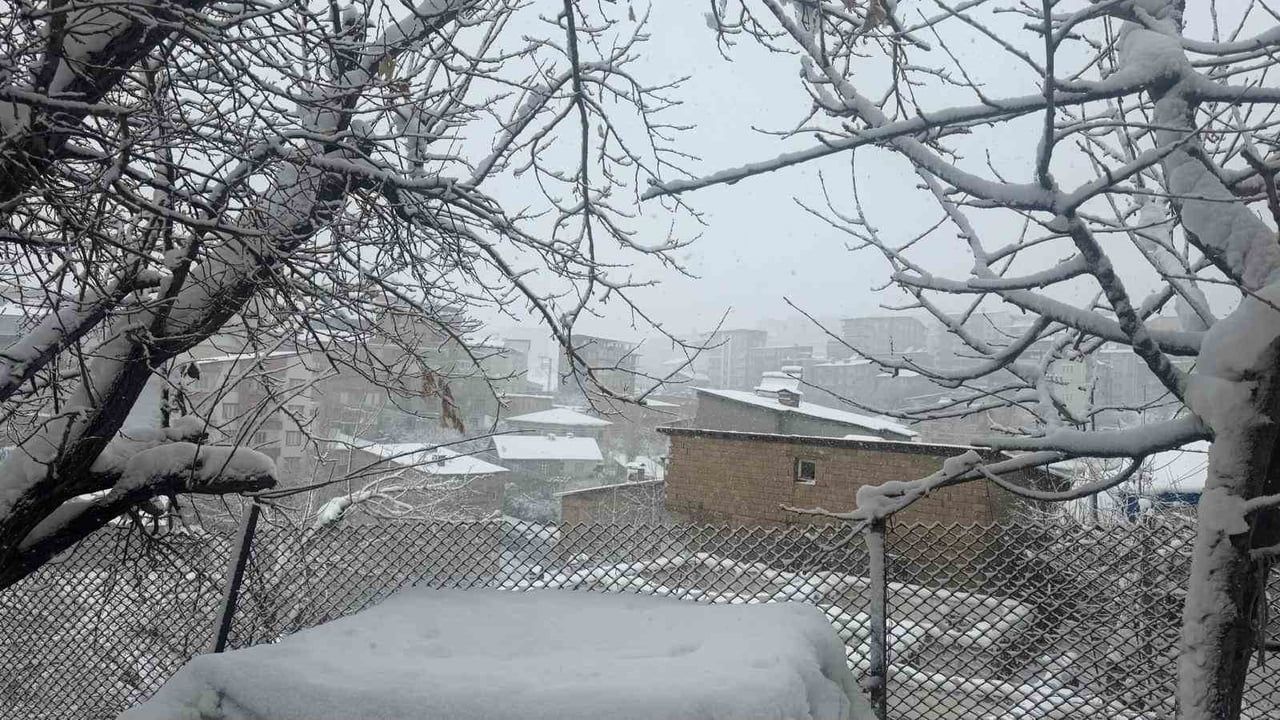 Hakkari'de kar ve fırtına günlük yaşamı aksatıyor: 301 köy ve mezra yolu kapalı