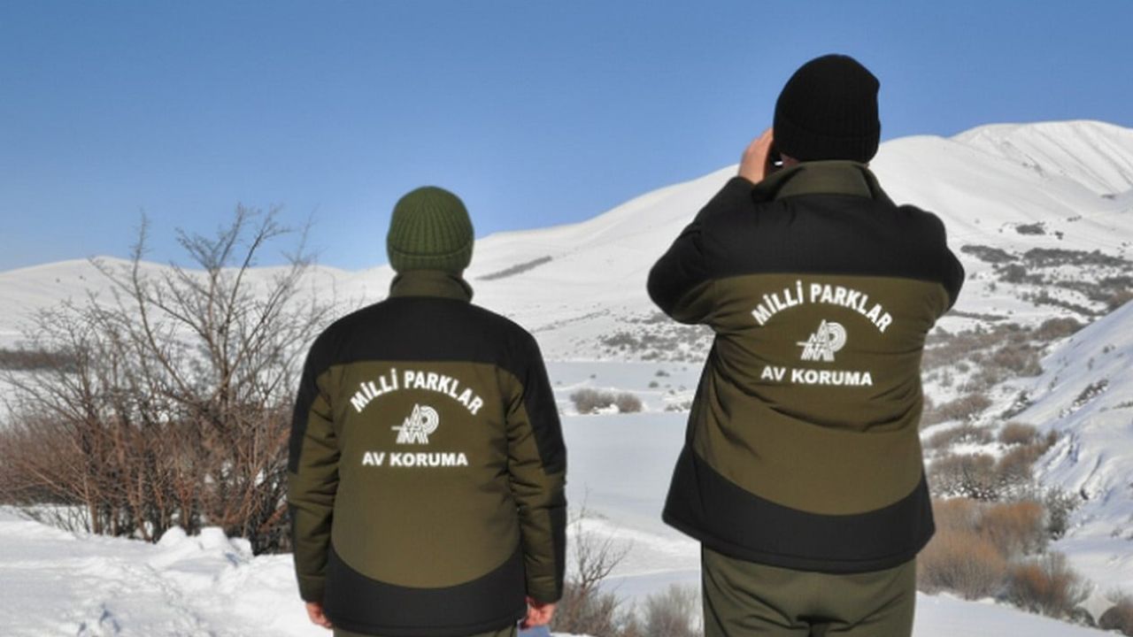 Hakkâri’de yasa dışı avcılık: vurulmuş yaban keçisiyle yakalanan kişiye 956 bin 619 TL ceza