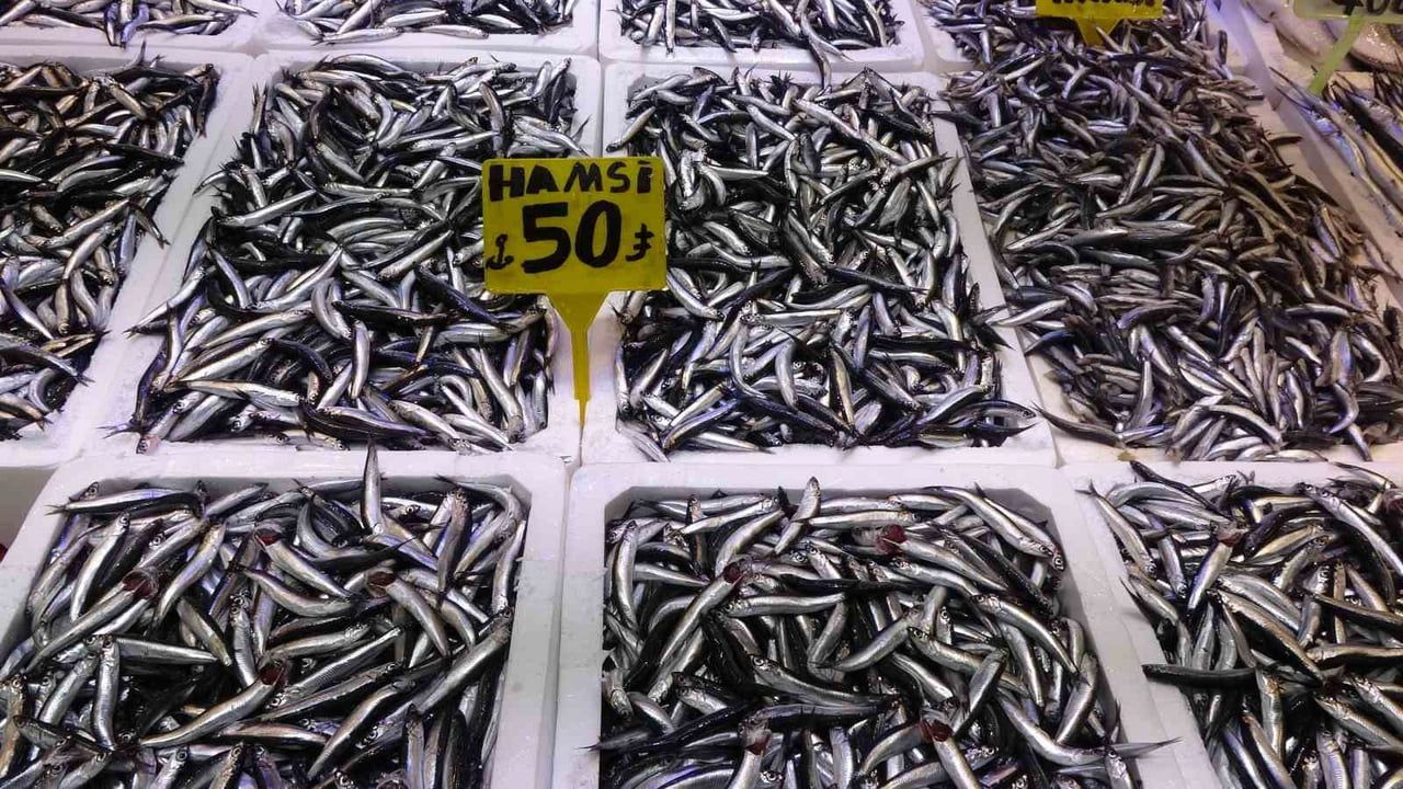 Hamsi Türk karasularını erken terk etti; av Gürcistan ve Abhazya açıklarına kaydı