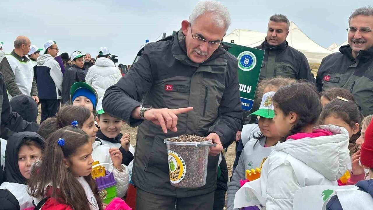 Harmancık’ta 4 bin 256 hektarlık yangın alanı ağaçlandırılıyor: 2,3 milyon fidan ve 20 ton tohumla rehabilitasyon çalışması