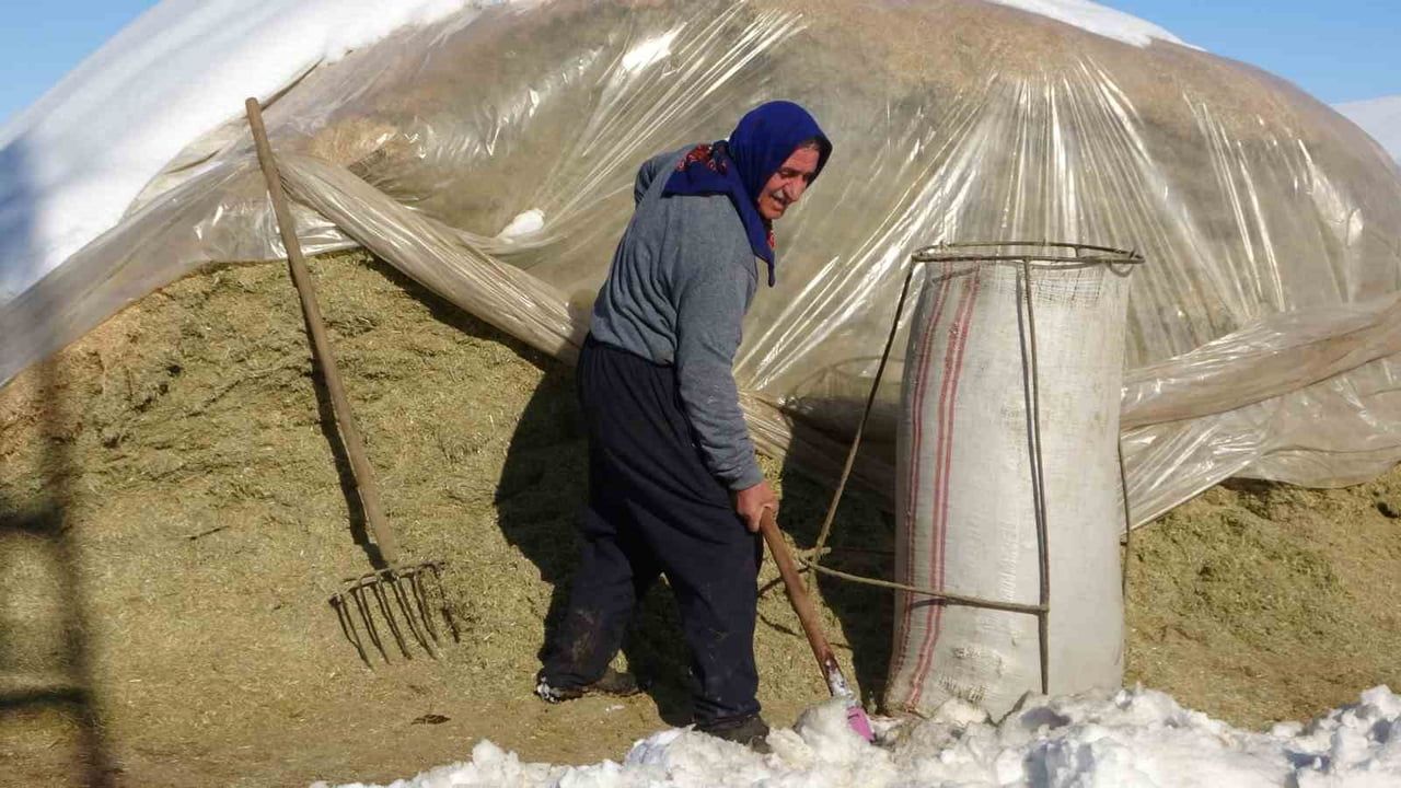 Hasköy’de kar etkisi: Besiciler saman örtüsünü temizleyip hayvanlarını yemlemeye başladı