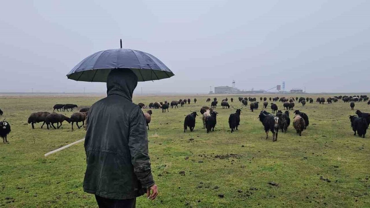 Hasköy'de Mevsim Normallerinin Üzerindeki Hava Besicileri Rahatlatıyor
