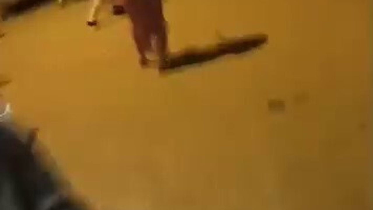 Hatay Altınözü'de İki Aile Kavgası: 1 Ölü, 6 Yaralı