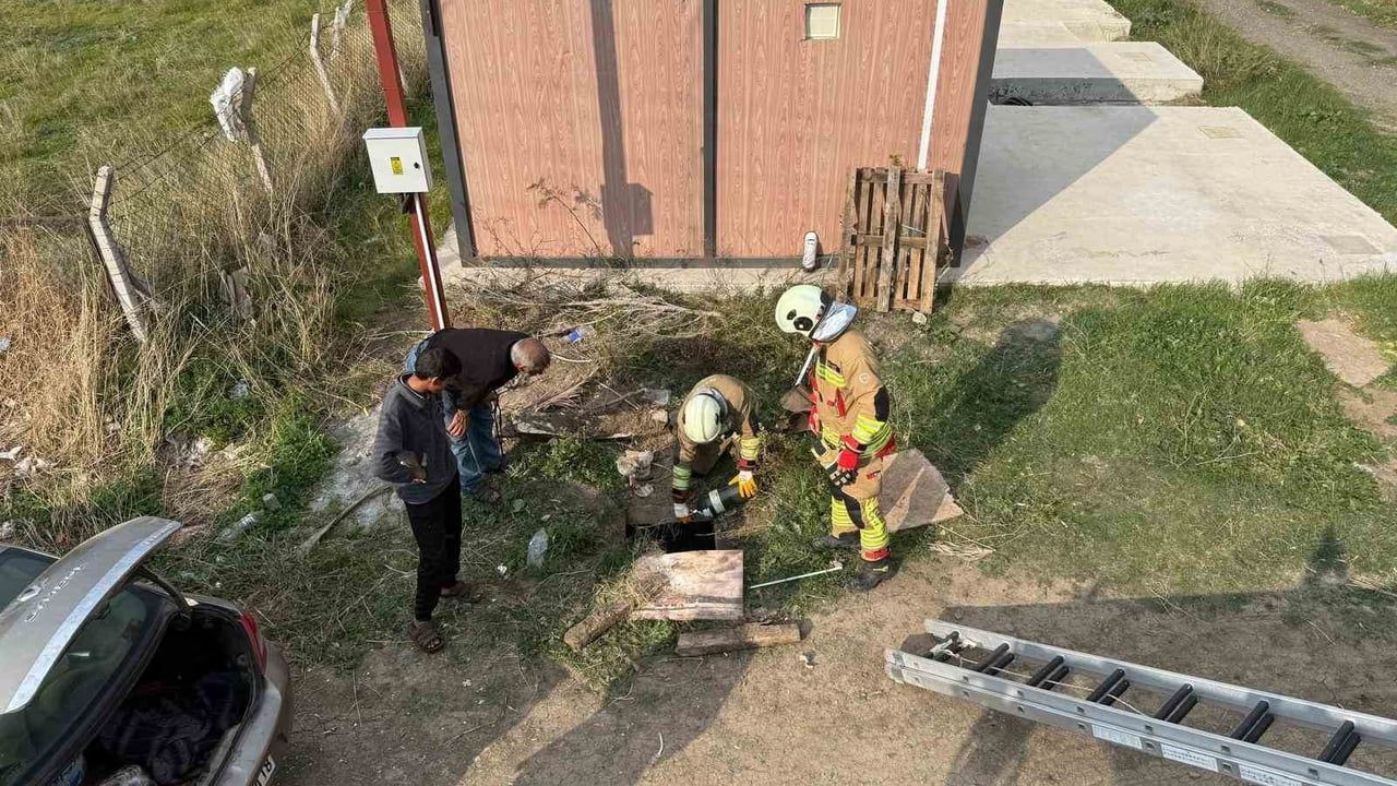 Hatay Arsuz'da kuyuya düşen koyun itfaiye tarafından kurtarıldı