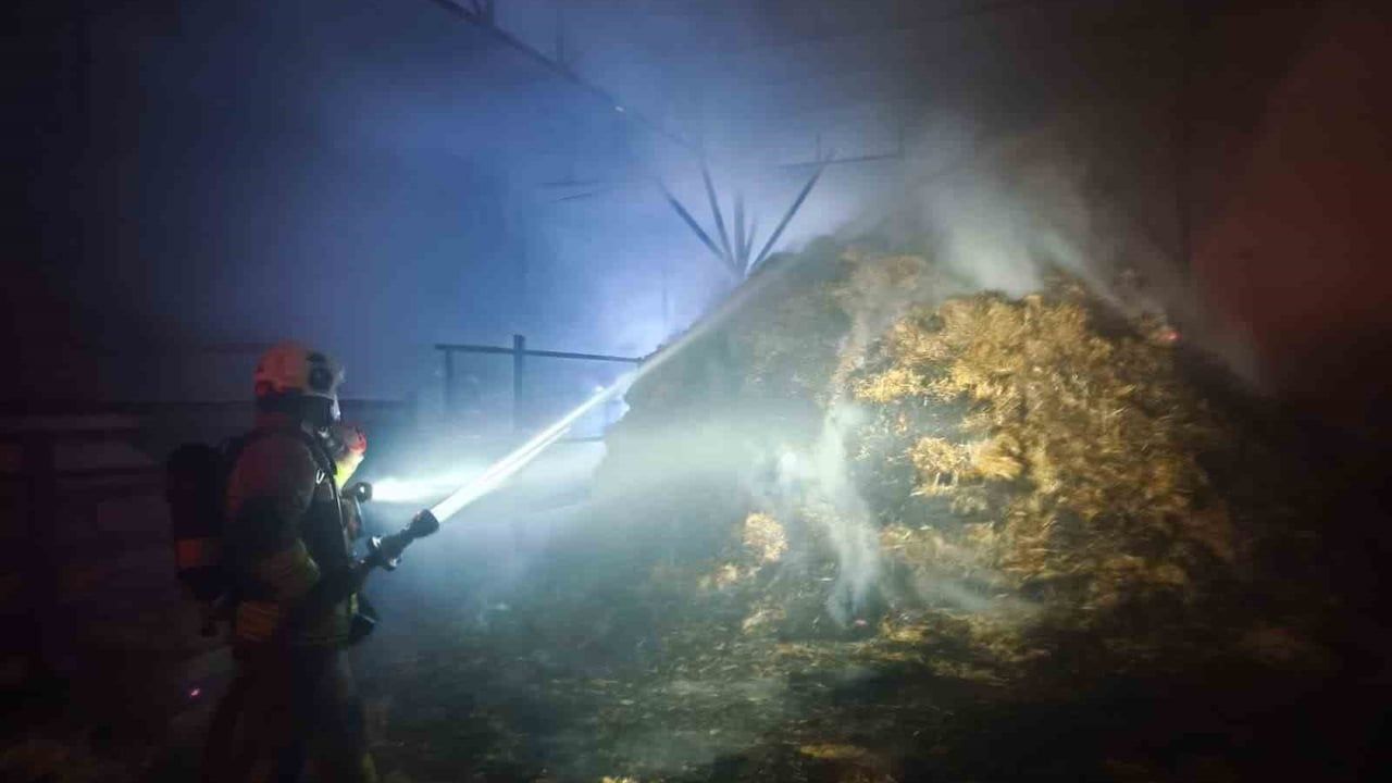 Hatay Arsuz'da samanlık yangını kontrol altına alındı; 100 büyükbaş tahliye edildi