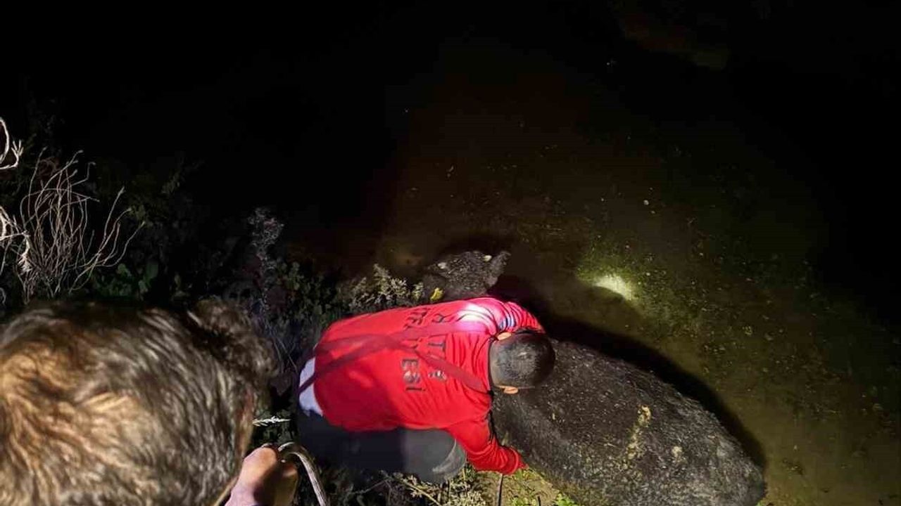 Hatay'da su kanalına düşen buzağı itfaiye tarafından kurtarıldı