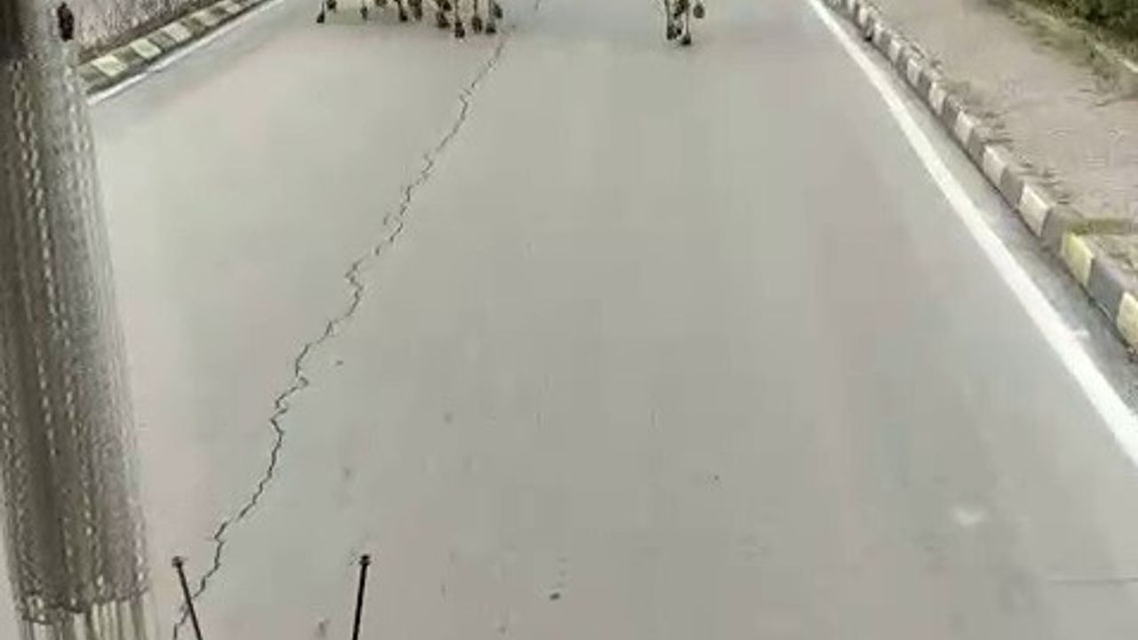 Hatay'da Tırdan Kaçan anguslar kent merkezinde görüldü, yakalama çalışmaları sürüyor