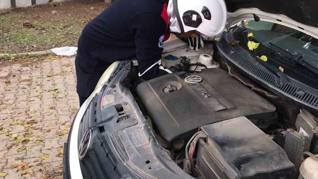 Hatay'da üşüyen yavru kedi park halindeki otomobilin motoruna girince itfaiye kurtardı