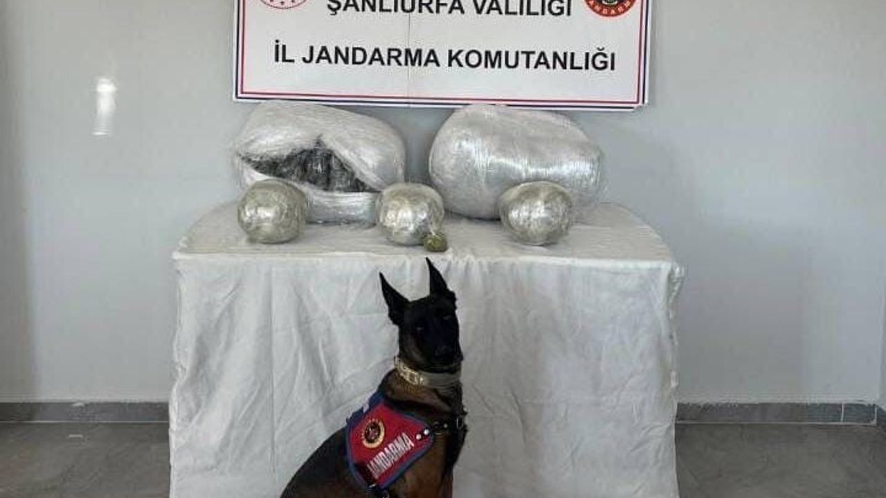 Hilvan'da trafik kontrolünde 25 kilogram skunk ele geçirildi
