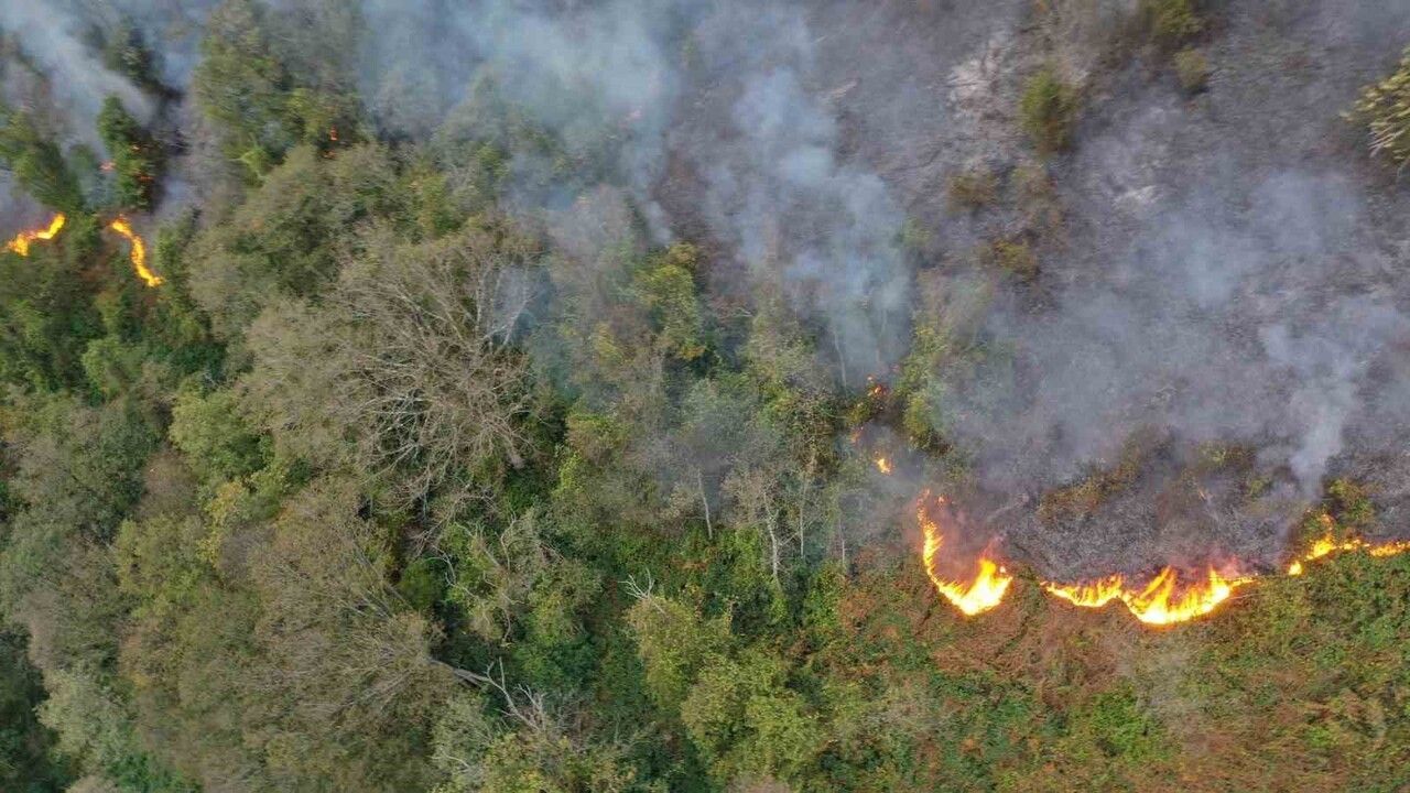 Hopa’daki orman yangını söndürüldü, soğutma çalışmaları sürüyor