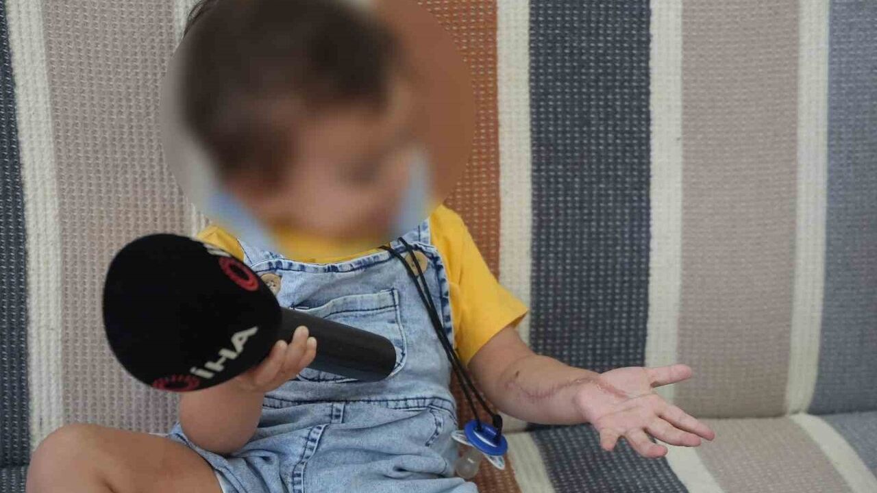 Iğdır’da 1,5 yaşındaki çocuğun ilaçlı tomografi sonrası iki ameliyat geçirdiği iddiası; aile dava açtı, hastanede soruşturma