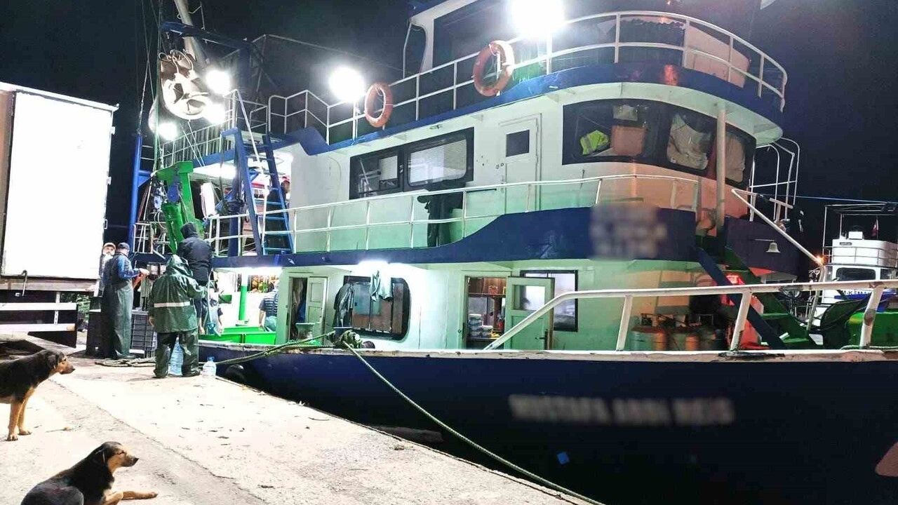 İğneada'da Hamsi Denetimleri: Kota, Miktar ve Taşıma Şartları İncelendi