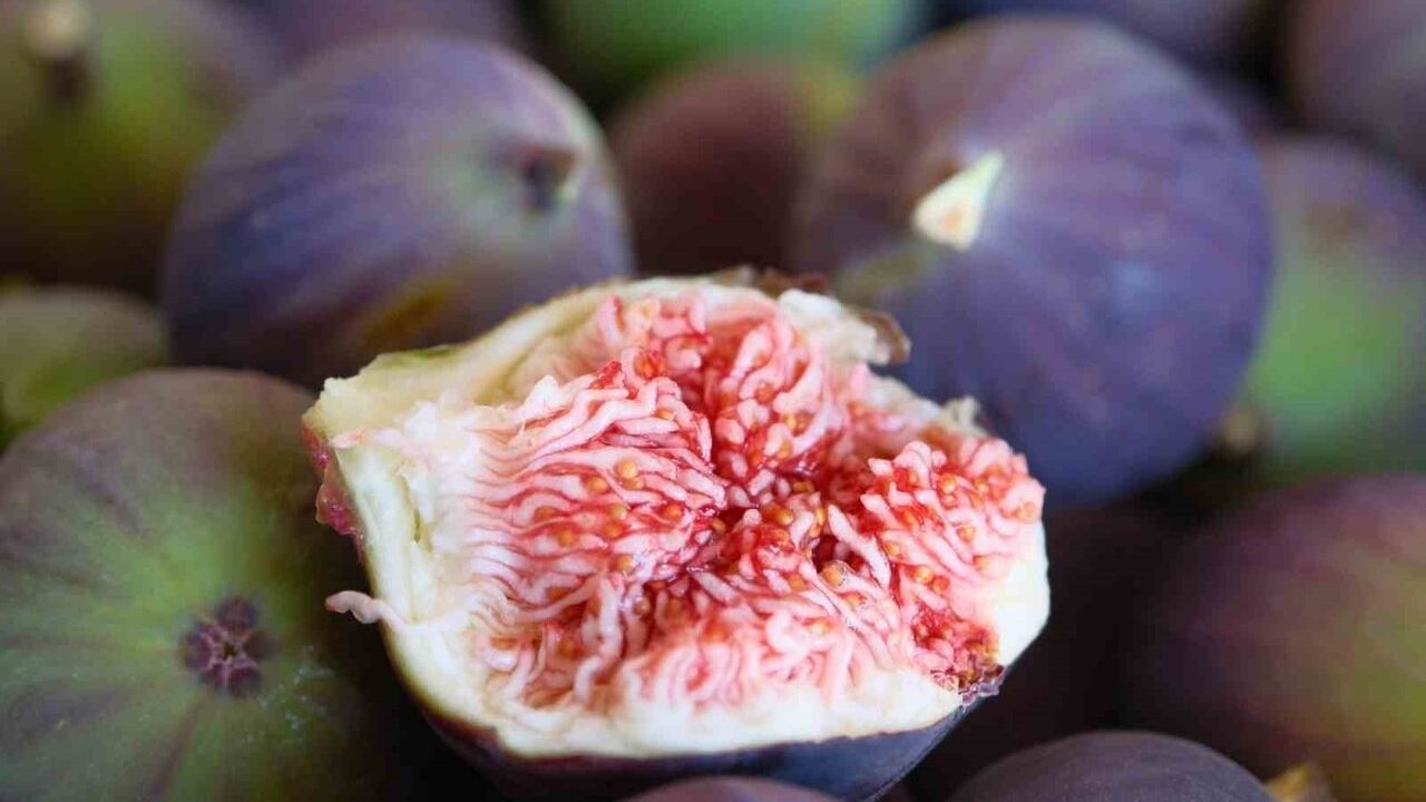 İlk 'Coğrafi İşaret Günü' 15 Aralık'ta ilk ve ortaokullarda kutlanacak