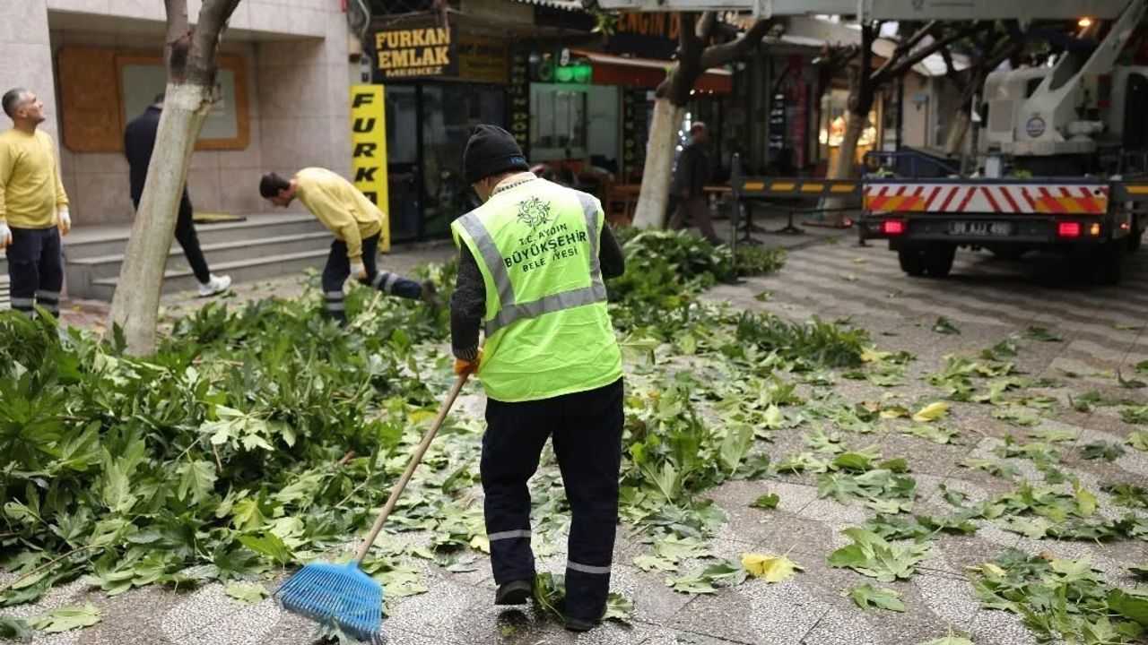 İncirliova Sevgi Yolu'nda Ağaç Budama ve Çevre Temizliği Çalışmaları