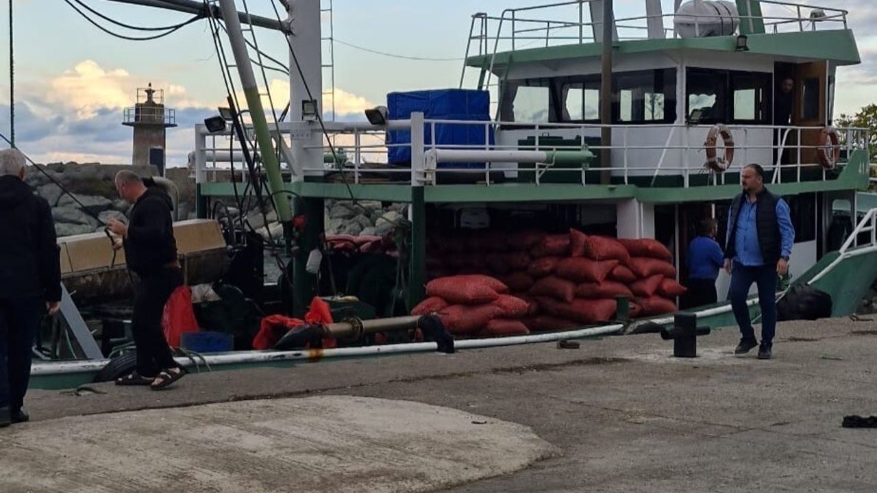 İnebolu Evrenye Balıkçı Barınağı’nda beyaz kum midyeleri denetimi