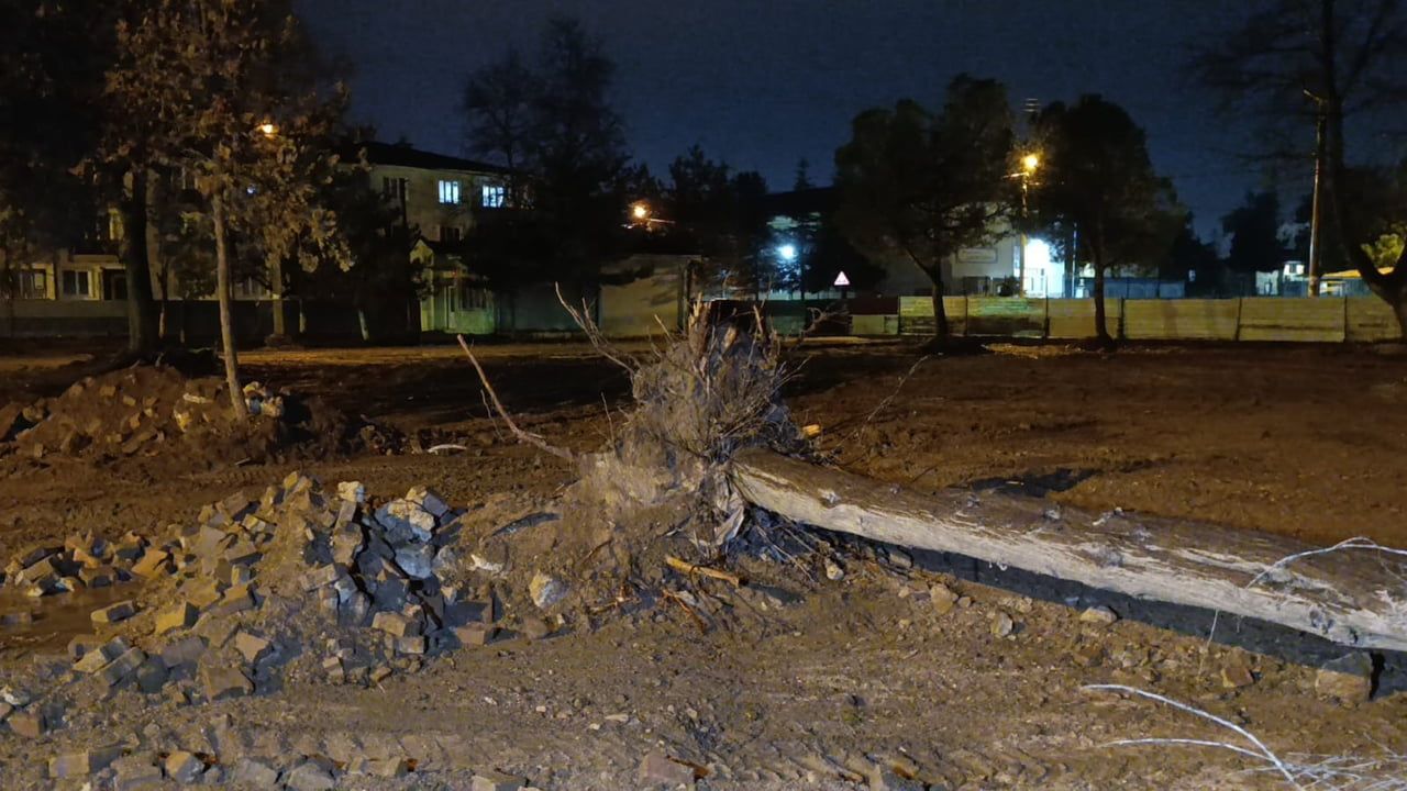 İnegöl'de inşaat alanındaki ağaç yağış ve rüzgarın etkisiyle yola devrildi