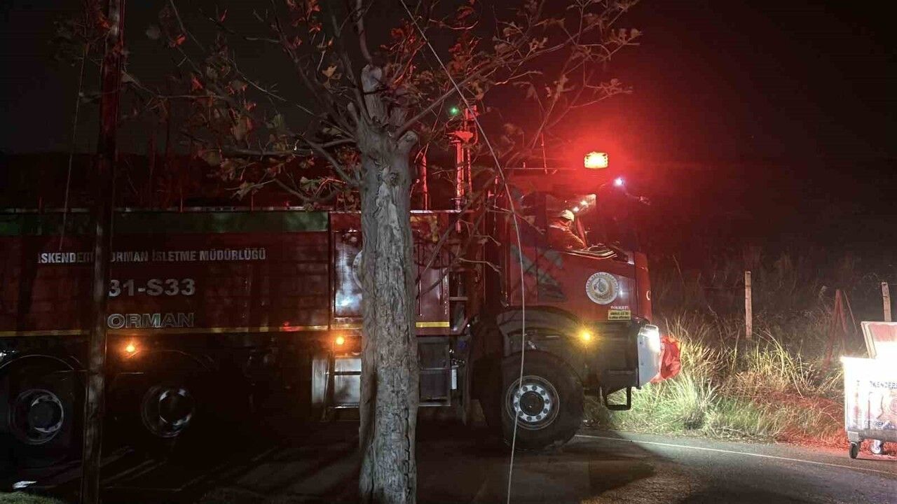 İskenderun’da otluk yangını ekiplerin müdahalesiyle söndürüldü