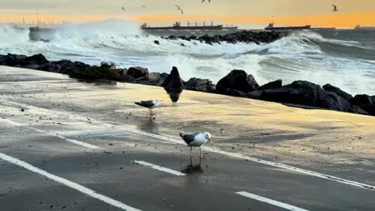 İstanbul'da fırtına nedeniyle bazı vapur seferleri iptal edildi