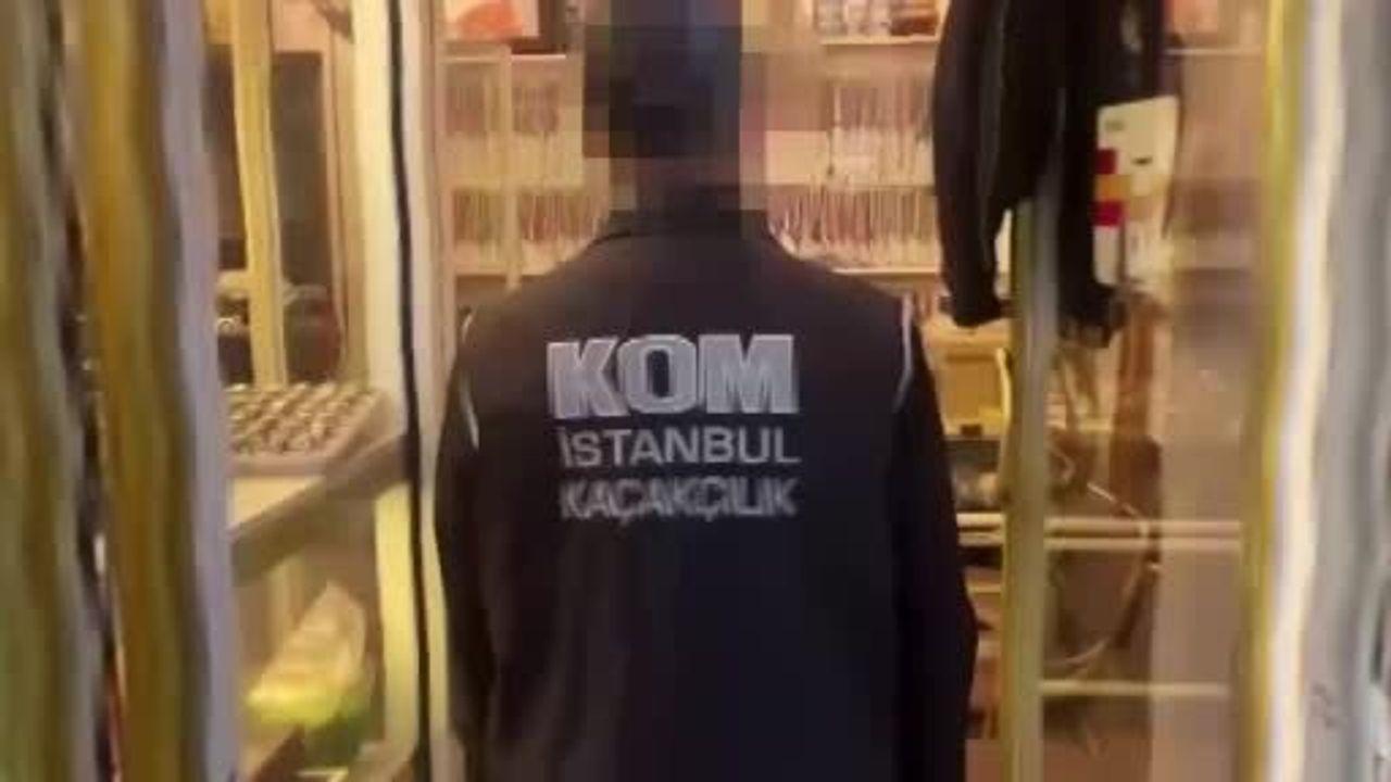 İstanbul'da kaçakçılık operasyonları: 15 gözaltı, binlerce tarihi eser ve hayvan parçaları ele geçirildi