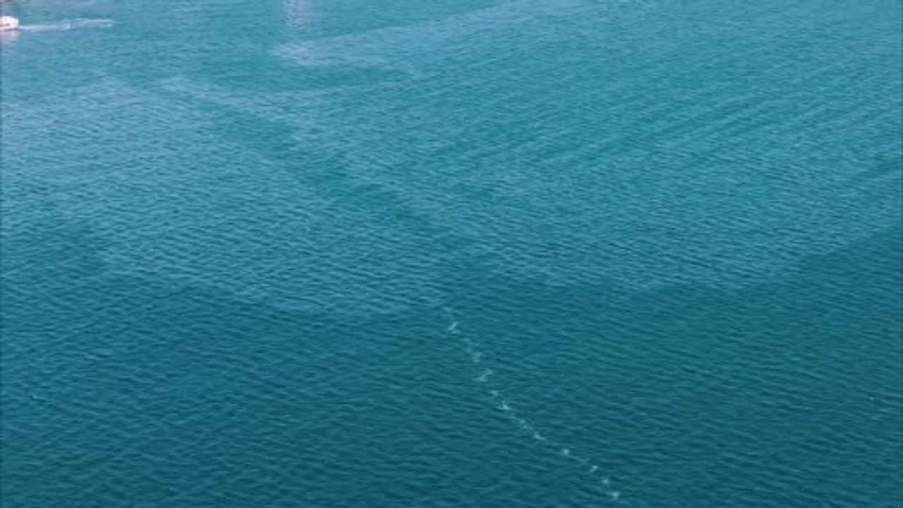 İzmir Körfezi'nde kirlilik görüntüleri: Başkan Cemil Tugay'dan denetim ve yaptırım çağrısı