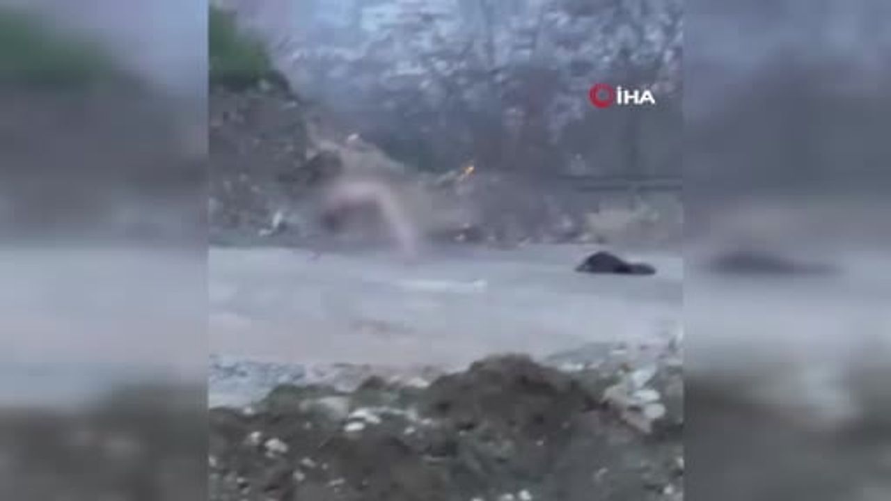 İzmit Yahyakaptan Mahallesi'nde Köprü Altında Çıplak Kişiye Polis Müdahalesi