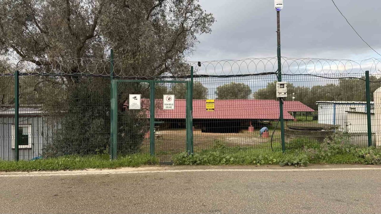 İznik Hisardere Nekropolü'nde 'Çoban İsa' freski keşfedildi; lahit tarlası 7/24 korunuyor