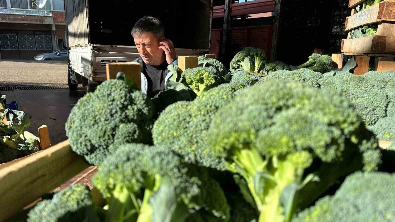 İznik'te tarlada 10-20 TL'ye satılan brokoli pazarda tanesi 70 TL'ye çıkıyor
