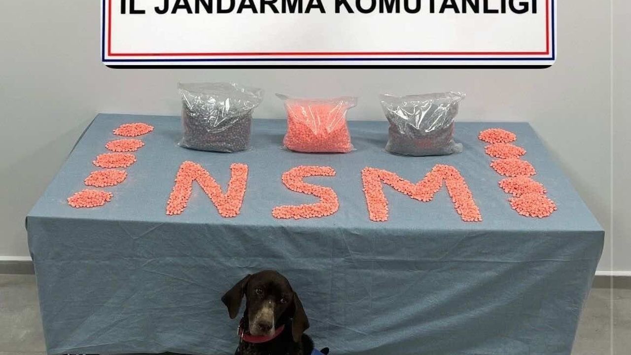 Jandarma KOM, İzmir'den Denizli'ye sevkiyat yapan şüpheliyi yakaladı: 28 bin extacy hap ele geçirildi