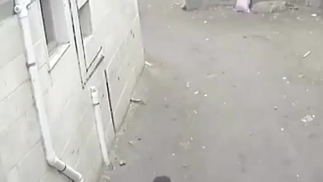 Kafr el-Şeyh'te kuzeninin kaçırılmasını engellemeye çalışan çocuğun direnişi sosyal medyada gündem oldu