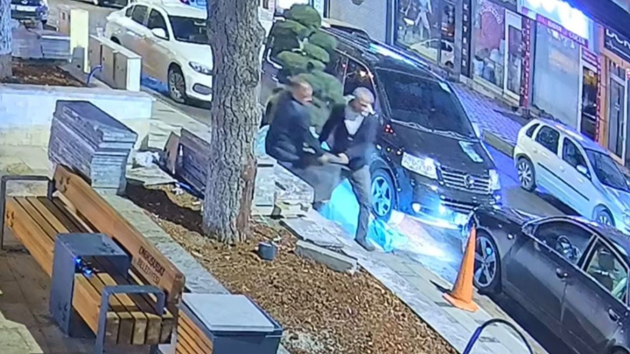 Kahramanmaraş Onikişubat’ta parktaki saksılı ağaç araçla çalındı