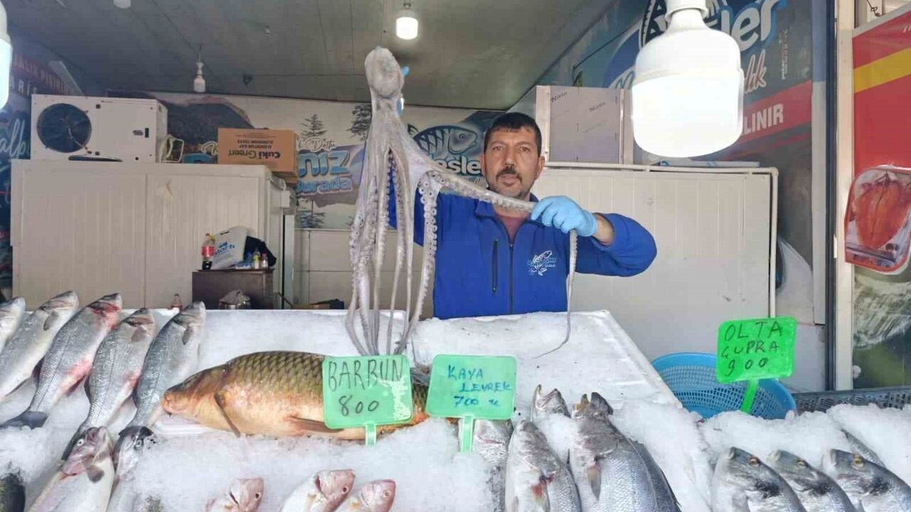 Kahramanmaraş'ta balık talebi artıyor: Günlük hamsi satışı yaklaşık 3 ton