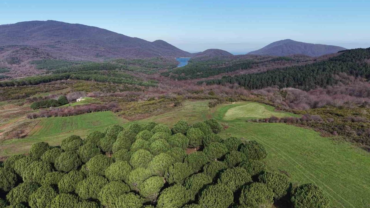 Kapıdağ’da kaybolan Elif Kumal için 350 kişilik arama sürüyor; ağabeyi: "Varsayımlar üzerinden gidiliyor, Elif’ten iz yok"
