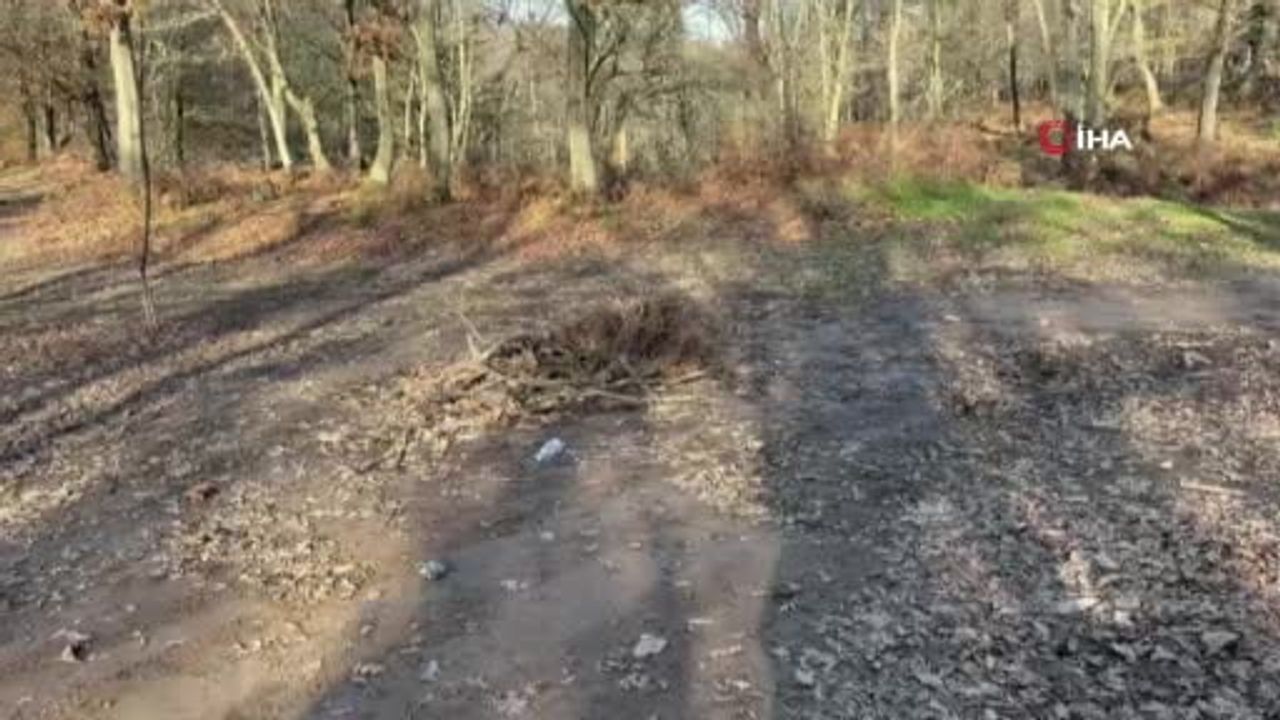 Kapıdağ'da kayıp Elif Kumal için aramalar genişletildi; dalgıçlar su altında arama başlattı