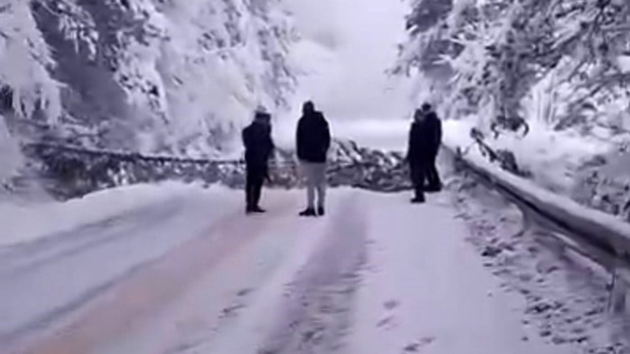 Karabük'te kar ulaşımı sekteye uğrattı: Ahmetusta Geçidi'nde ağaç devrildi, zincirleme kazalarda yaralanma olmadı