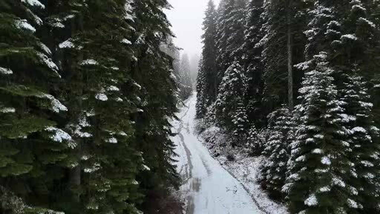 Karabük’ün yüksek kesimleri beyaza büründü: Keltepe ve Sarıçiçek'te kar örtüsü