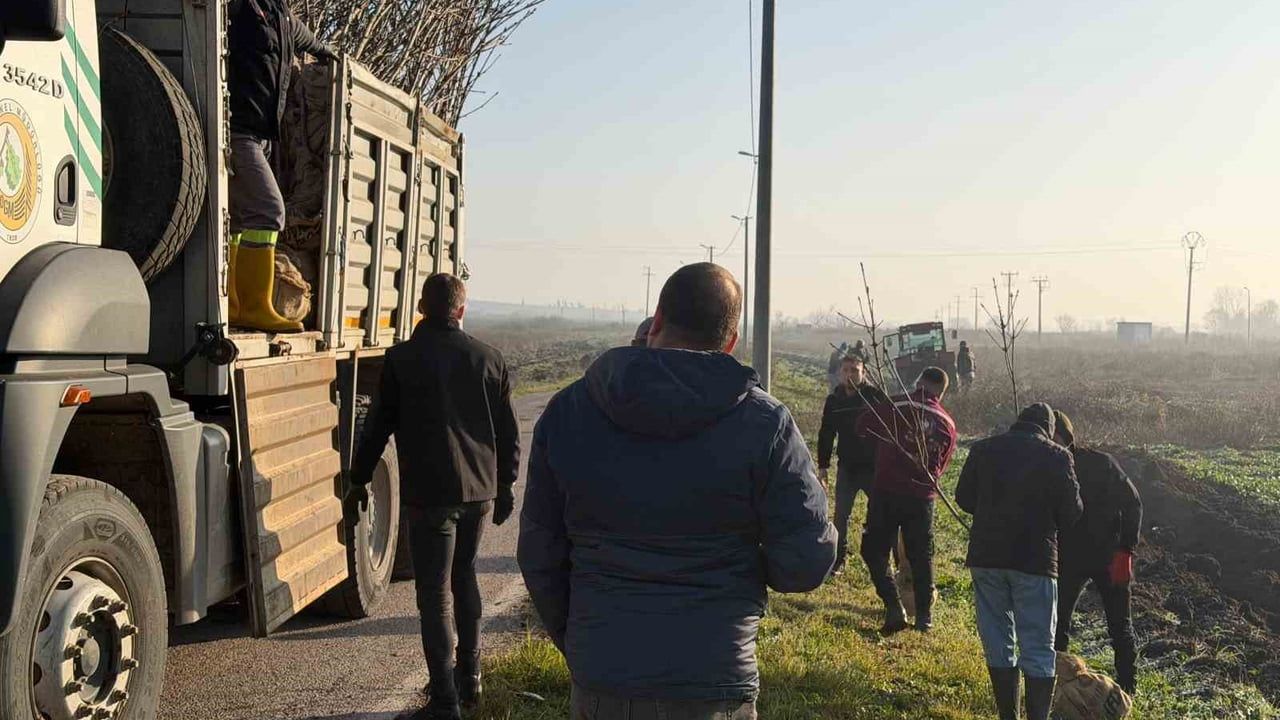 Karaçalılık’ta 350 Atkestanesi Fidanı Dikildi — Bandırma’nın 55. Kırsal Mahallesi İçin Yeşil Adım