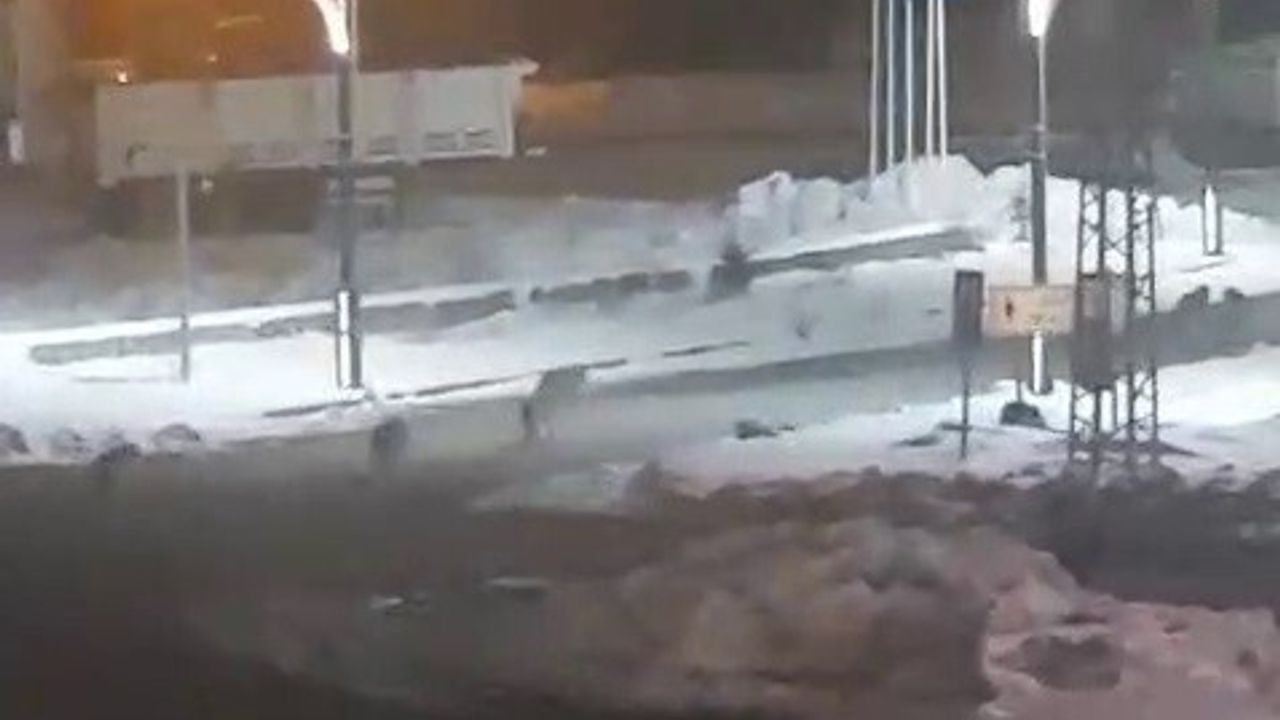 Karayazı'da akşam saatlerinde kurt sürüleri merkez mahallelere indi