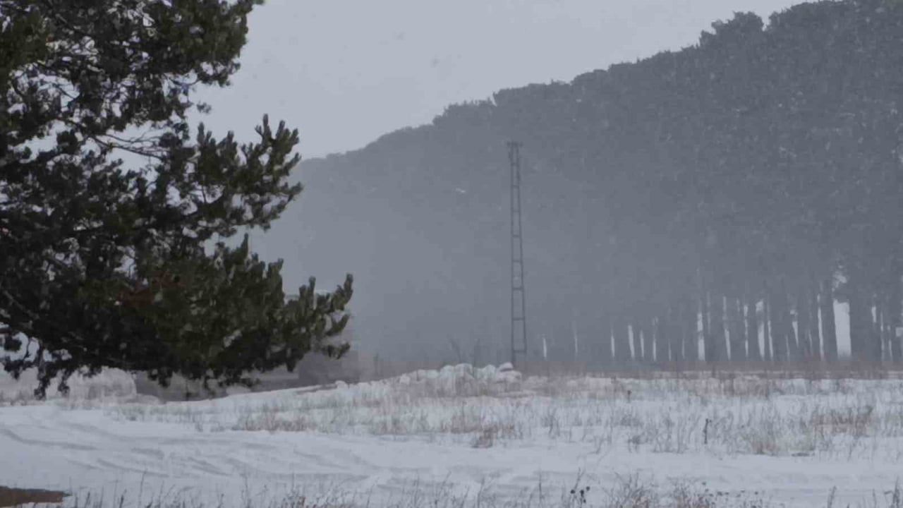 Kars'ta 27 köy yolu kar ve tipi nedeniyle ulaşıma kapandı